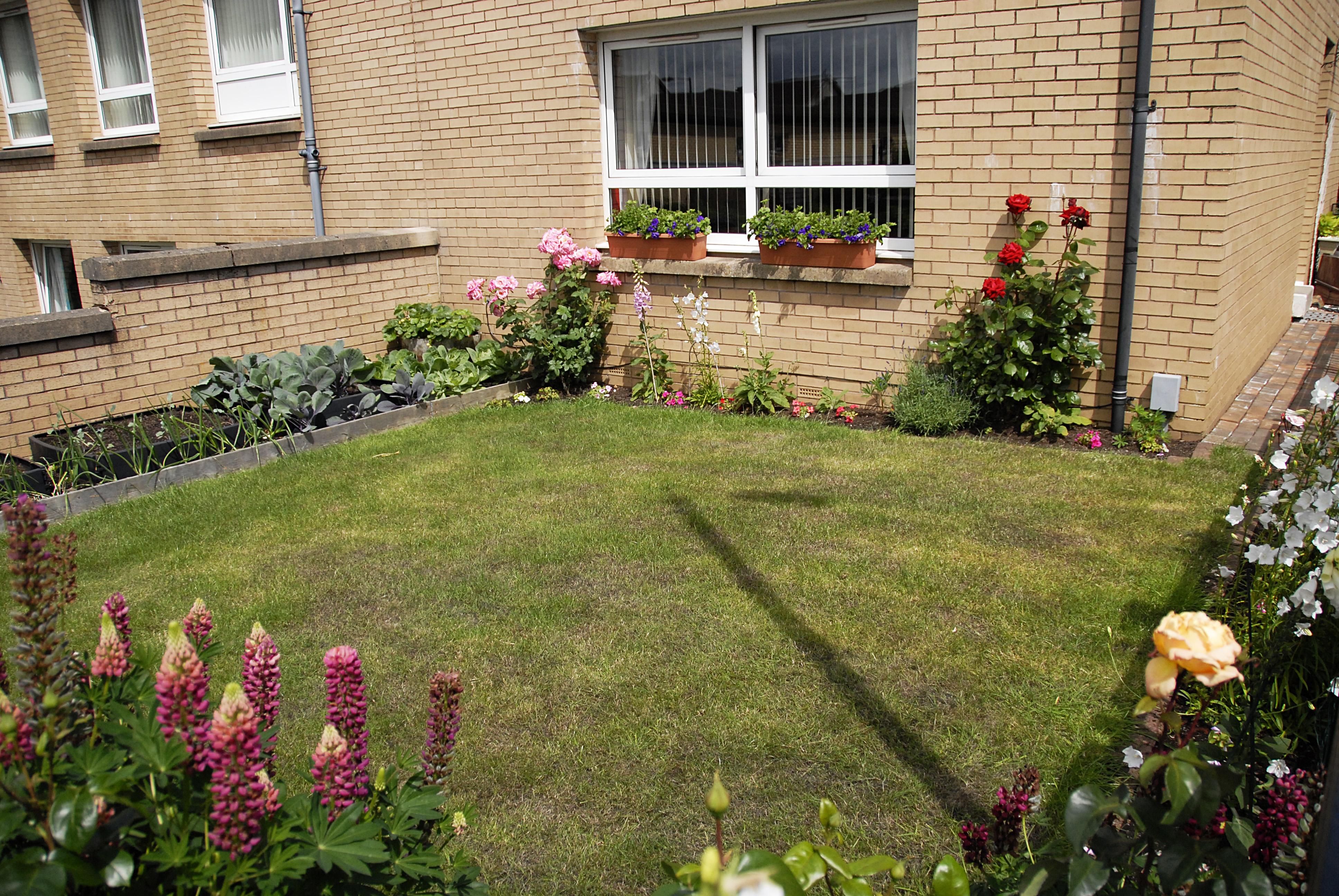  garden